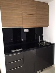 Stellar RV (D10), Apartment #558731141